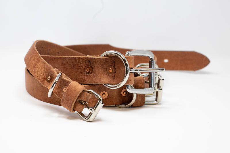 Leather Dog Collar - Moody's Leather Co. 