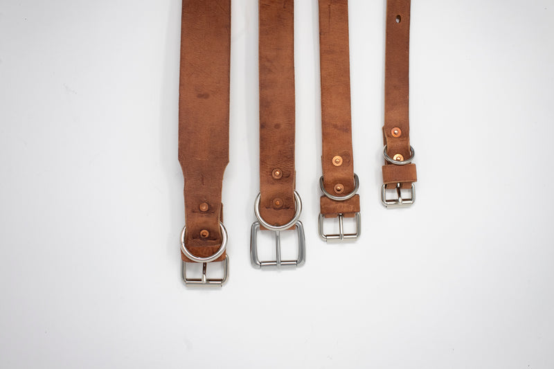 Leather Dog Collar - Moody's Leather Co. 